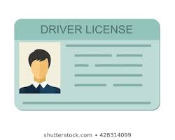 licence driving Image